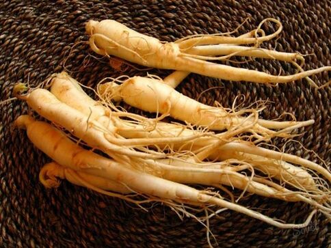 Akar ginseng untuk meningkatkan potensi selepas 60