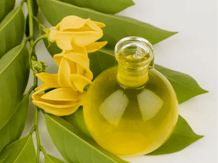 Aromaterapi untuk meningkatkan keberkesanan